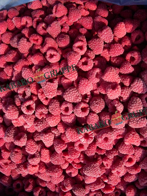 Frozen (IQF) Raspberries 33